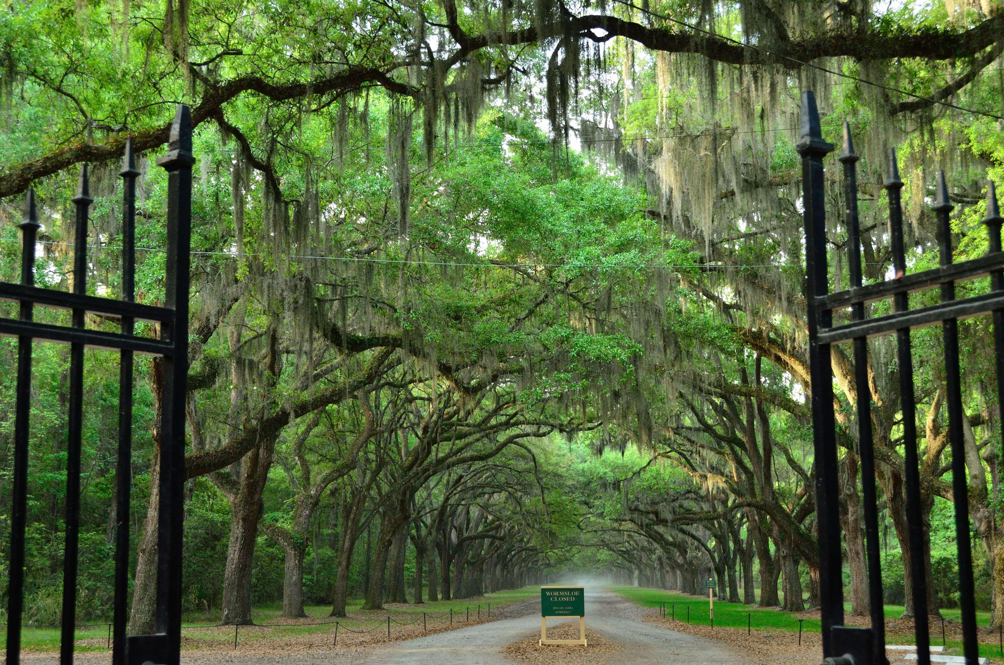 Best Western Central Inn Savannah Extérieur photo